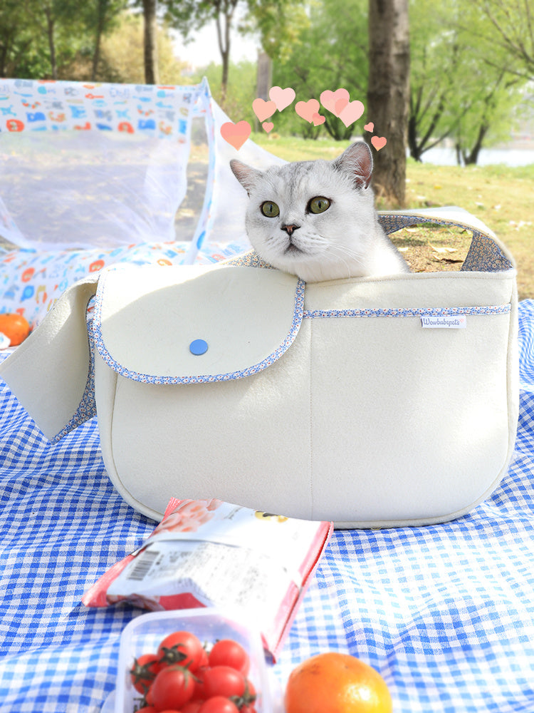 Bolsas para gatos en Corea: ¡Sal a comprarlas! Bolsas portátiles para gatos.