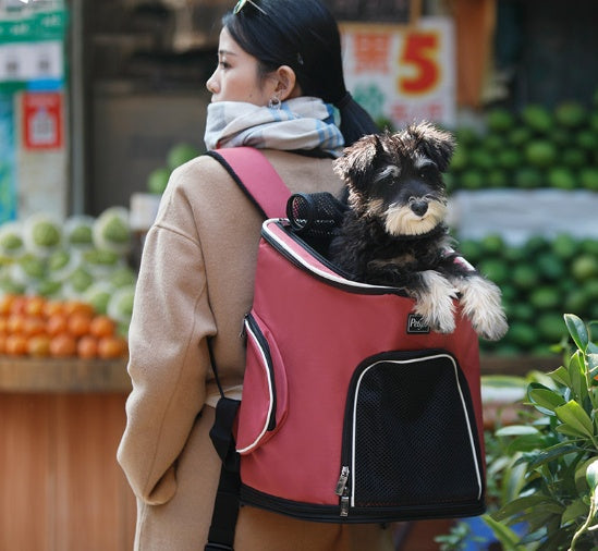 Mochila para Perros