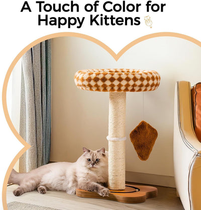 Percha Extraíble y Juguetes con Pista de Pelotas para Gatos de Interior – Color Marrón