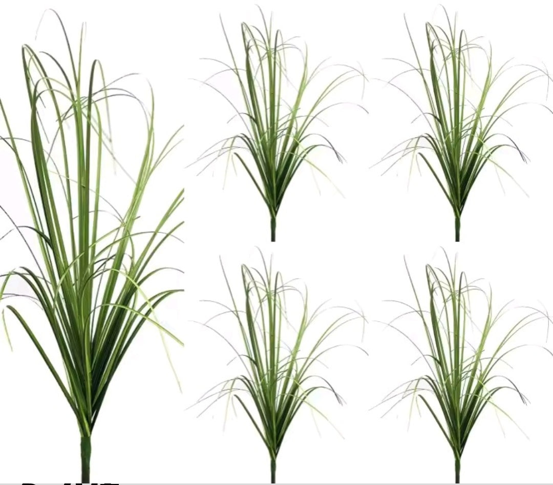 Casquillos decorativos