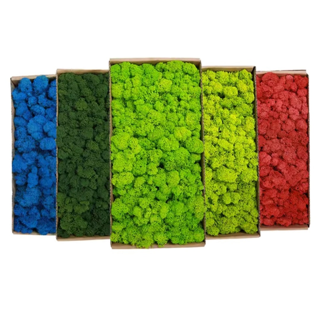 Hierba artificial musgo