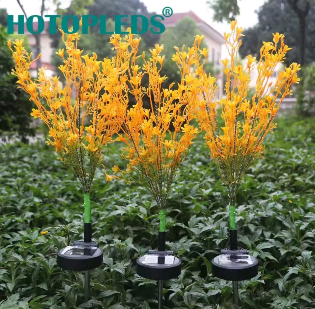 Ilumina tu espacio intimo