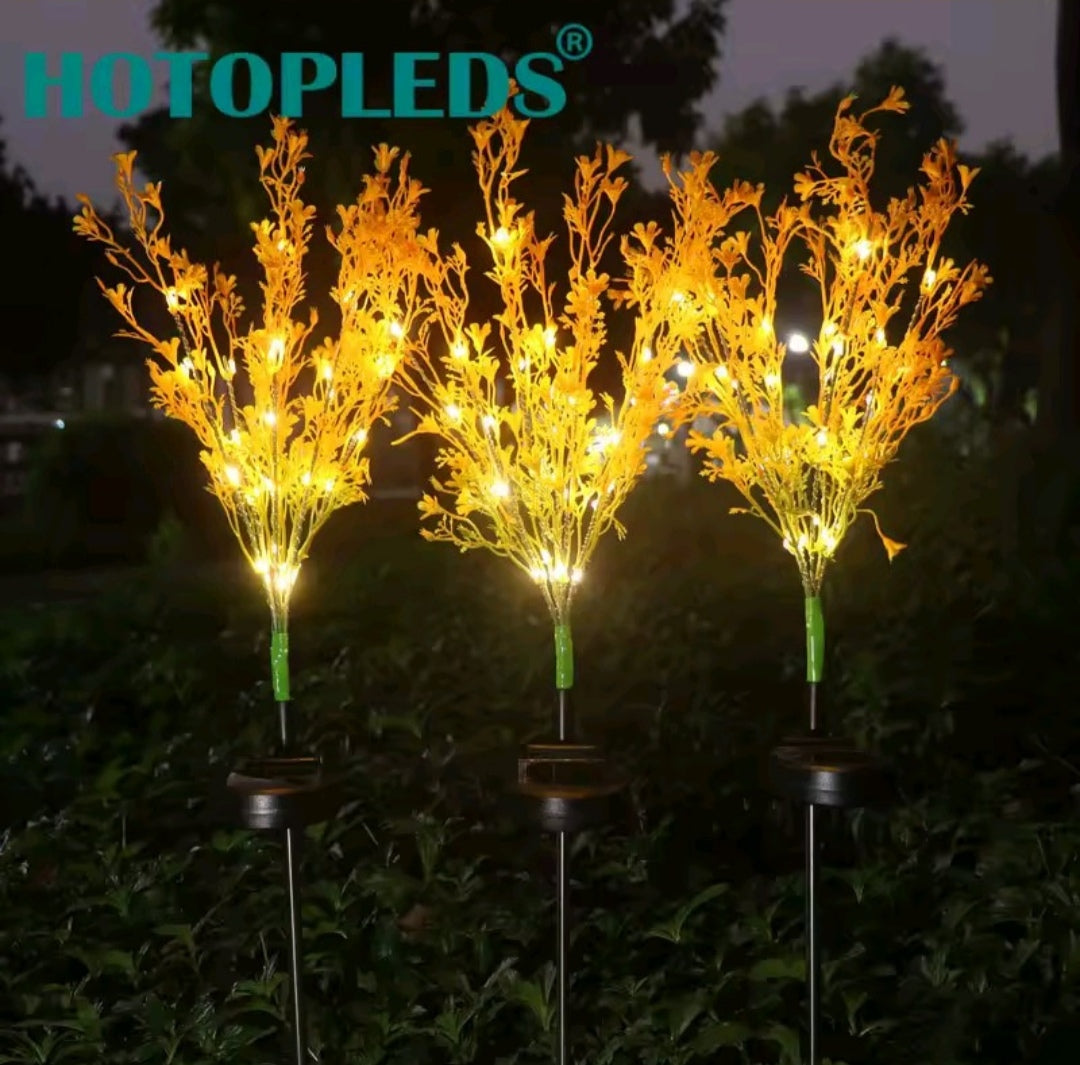 Ilumina tu espacio intimo