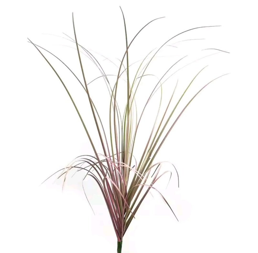 Casquillos decorativos