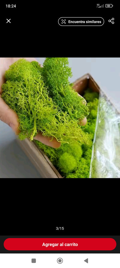 Hierba artificial musgo