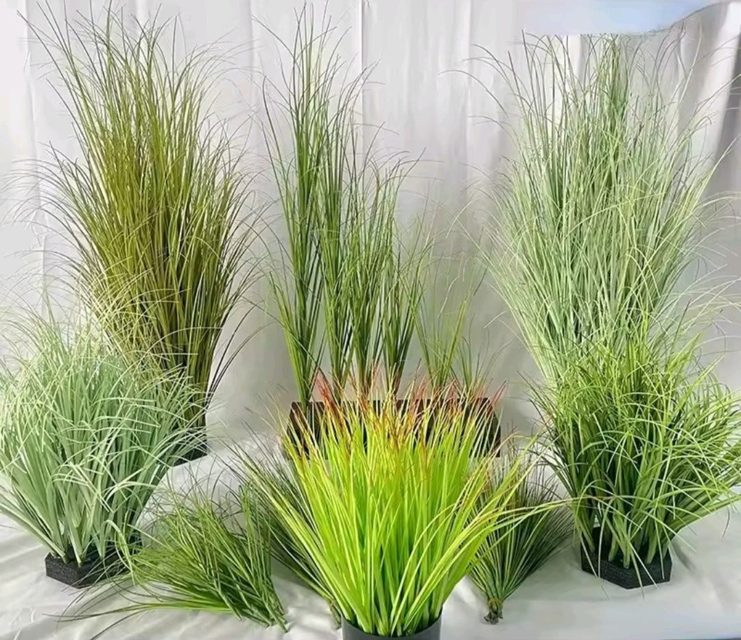 Casquillos para jardin