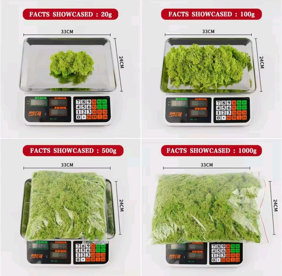 Hierba artificial musgo