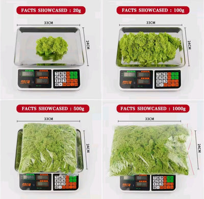 Hierba artificial musgo